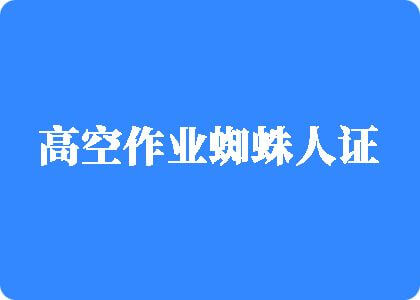 日东北黑骚逼精品高空作业蜘蛛人证